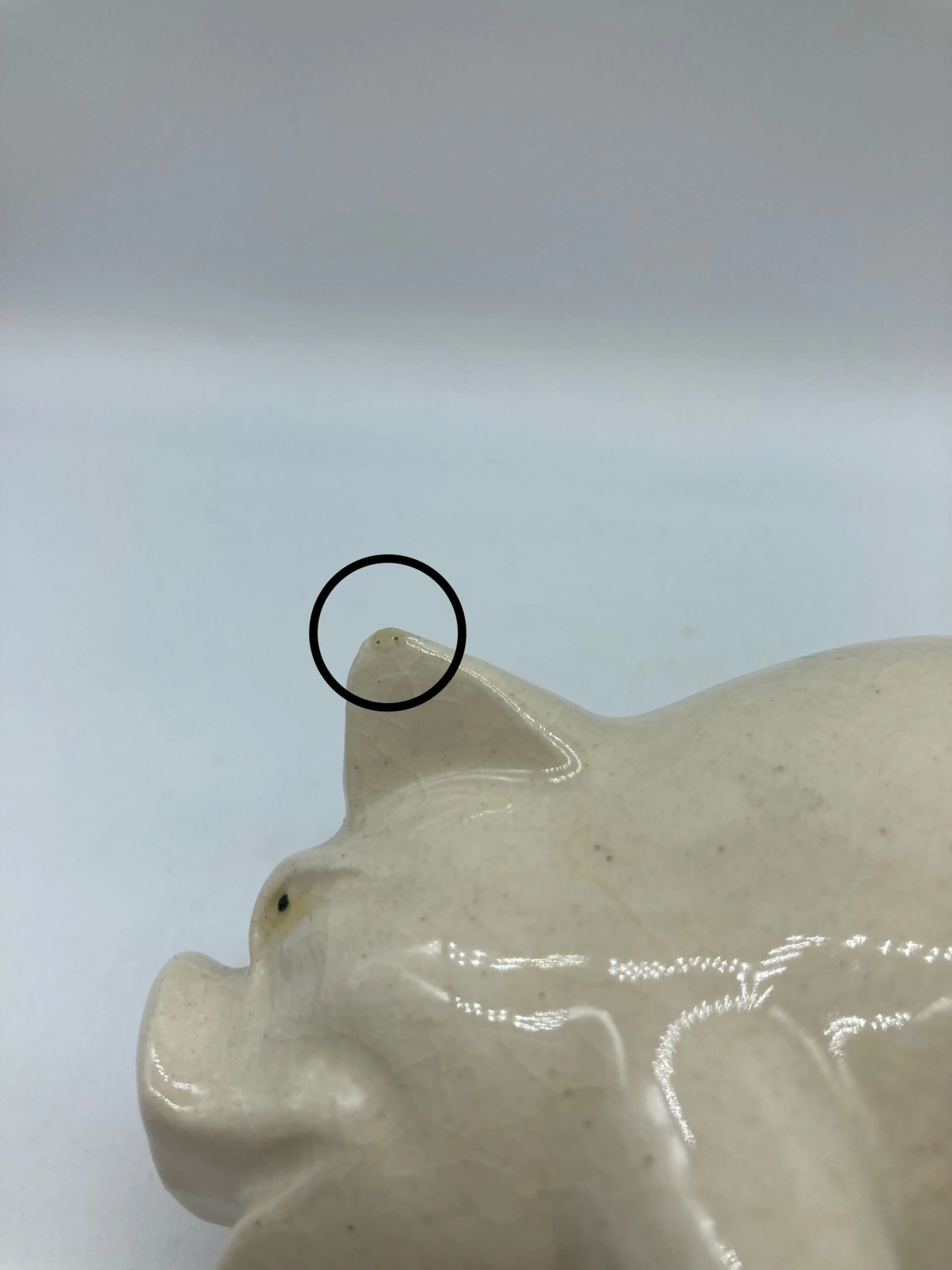 Image 4 of 5