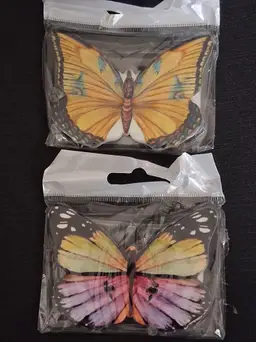Colorful Butterfly Magnets Set of 2 ~ Home Decor