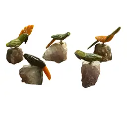 Bird on Stone - Pick 1