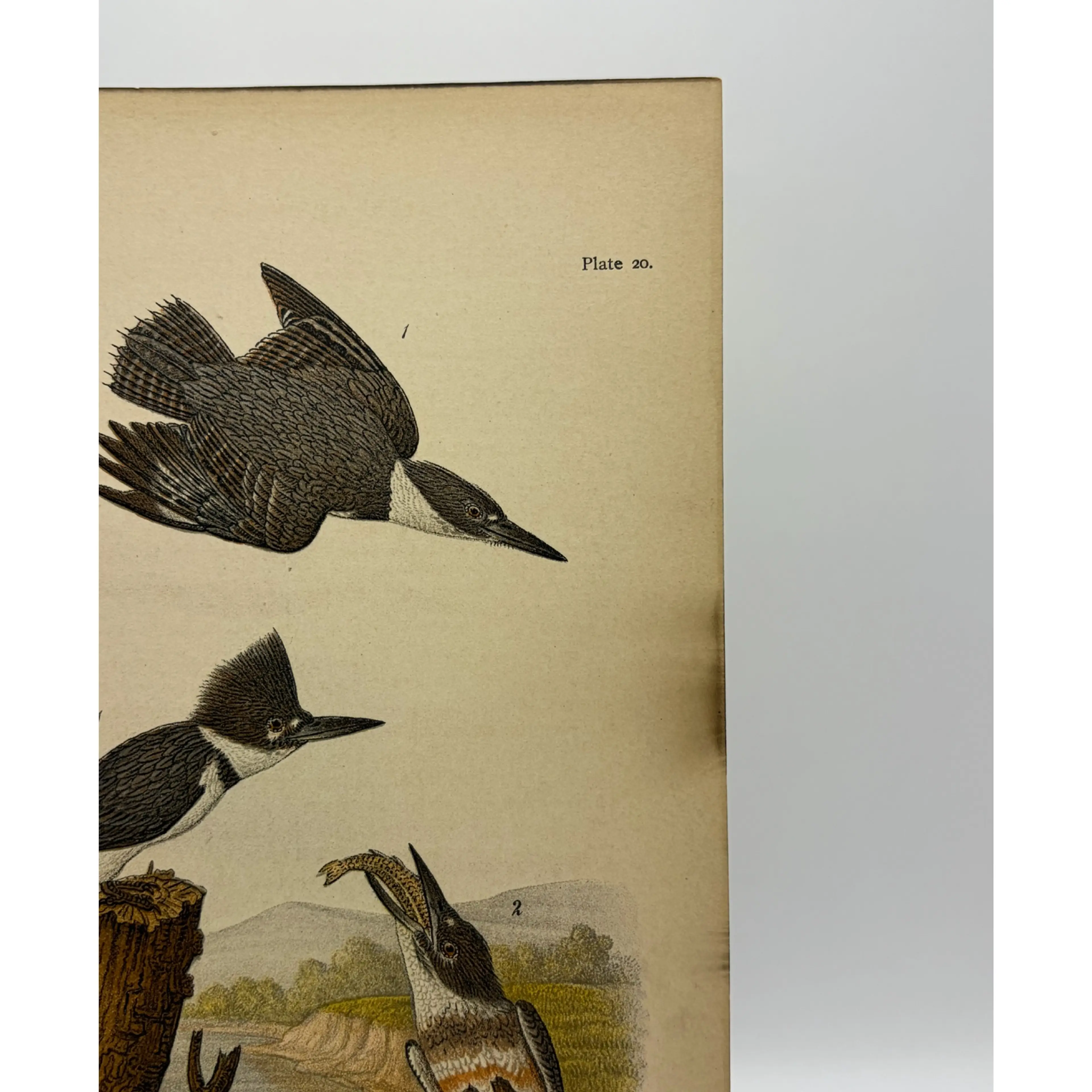 Image 3 of 9