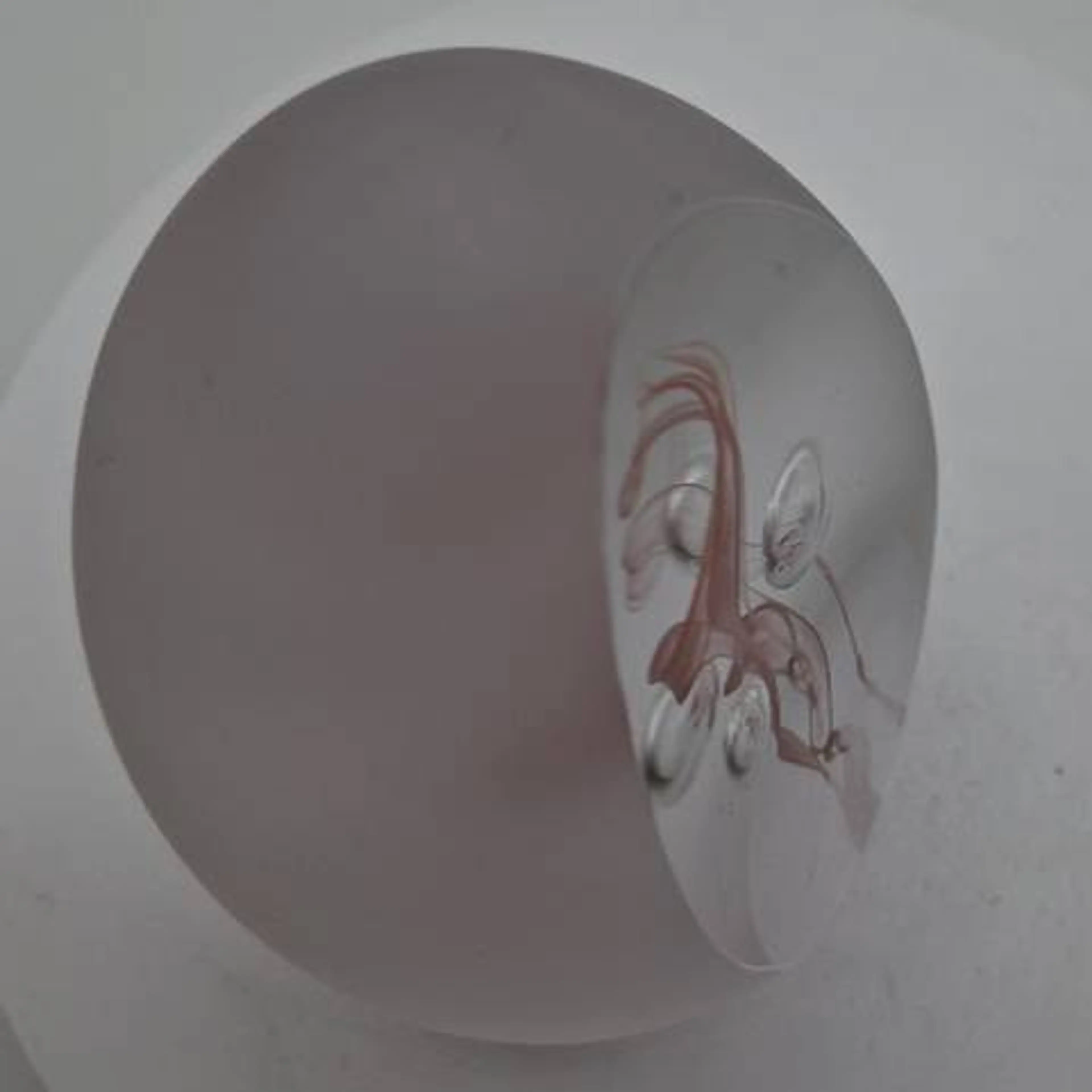 Image 5 of 7