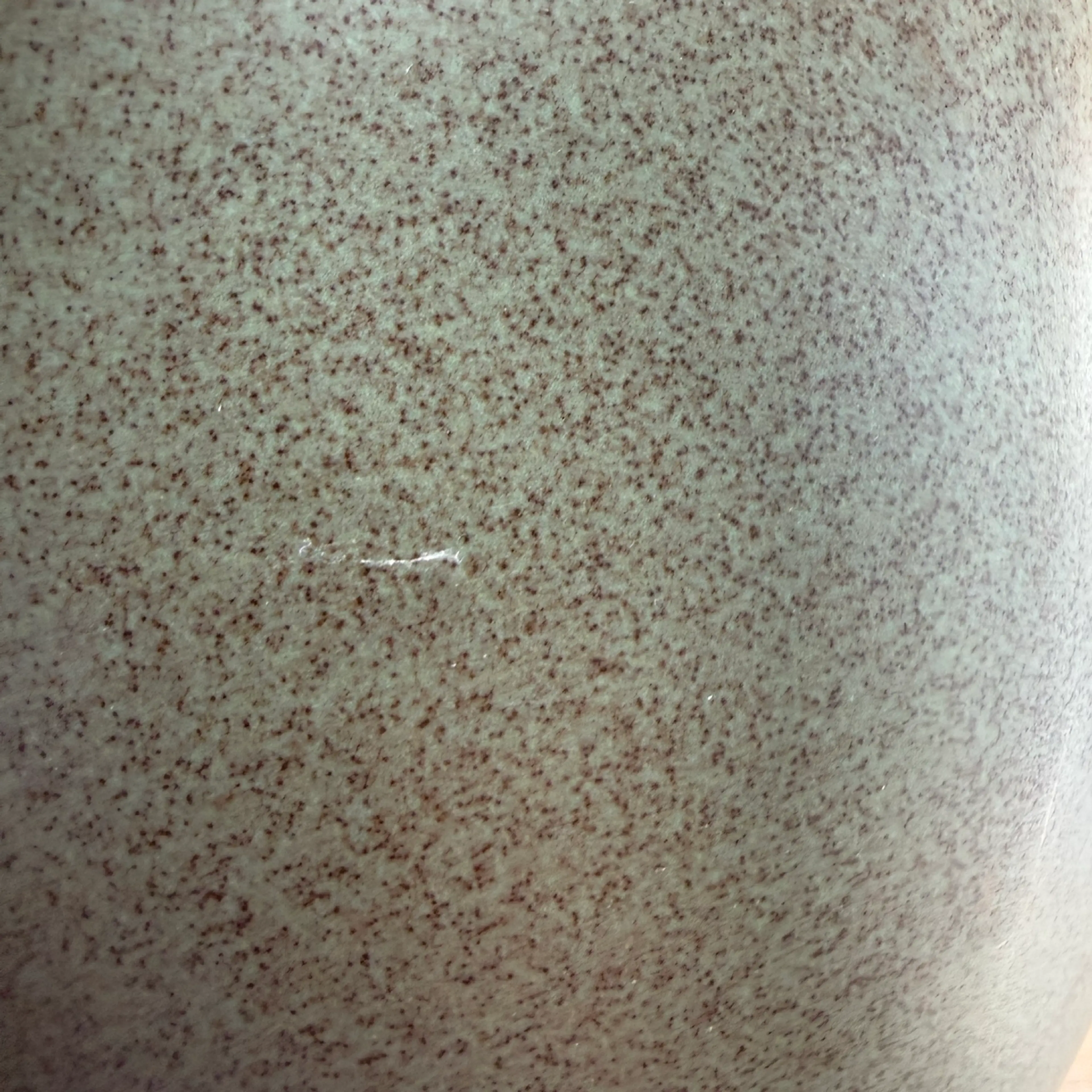 Image 5 of 6