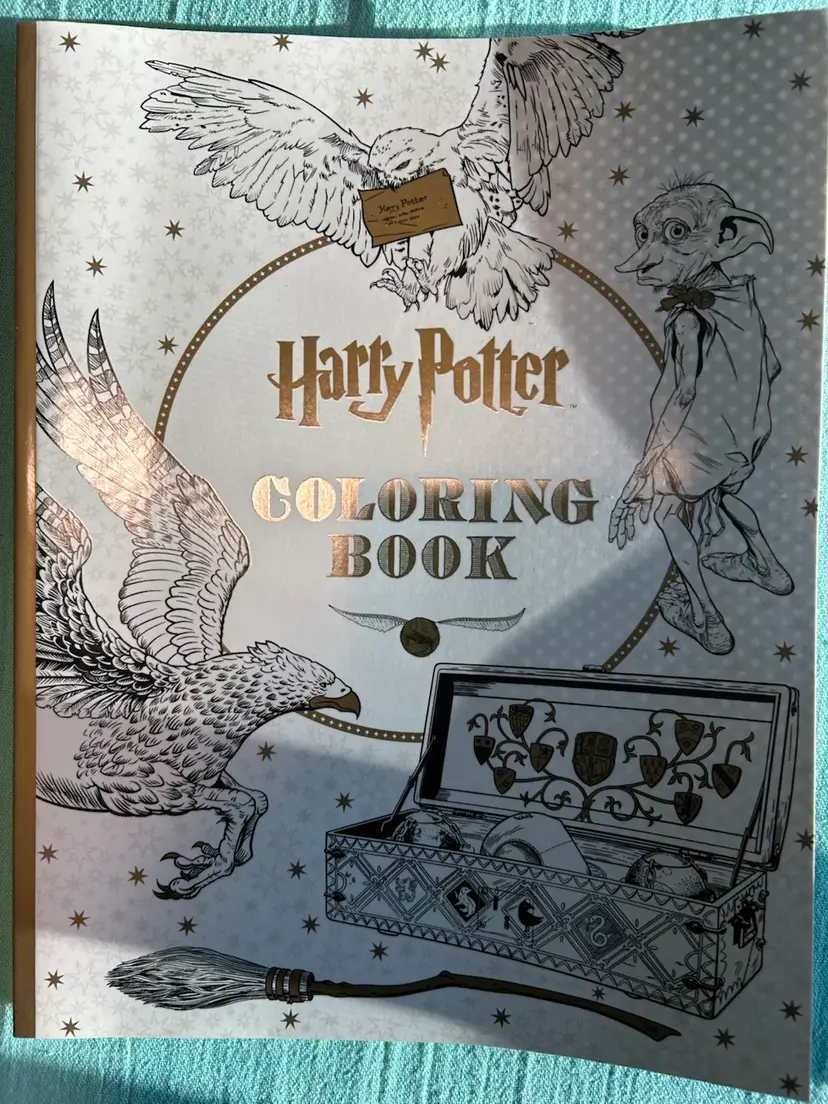 Harry Potter Coloring Book
