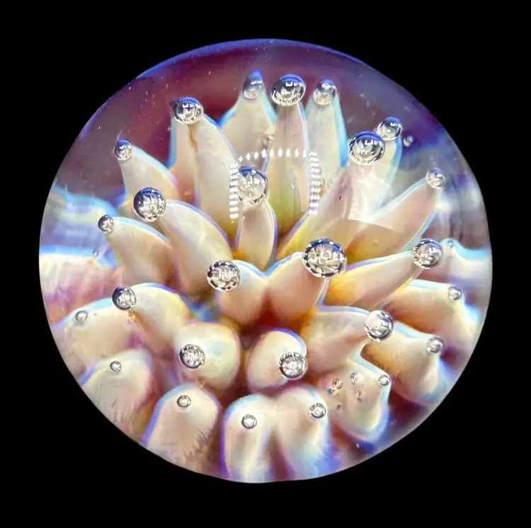 Contemporary Handmade Art Glass Marble .83" Pink Anemone Air Trap Implosion