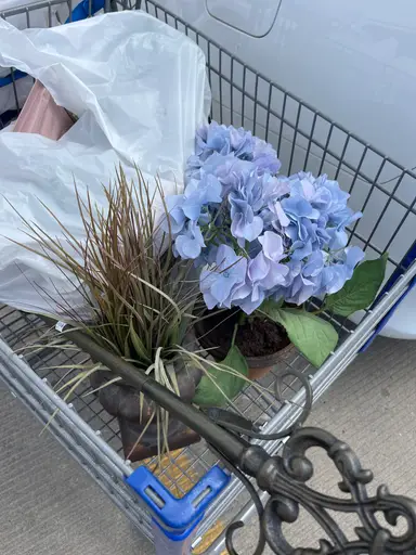 Thrift Store Haul! 