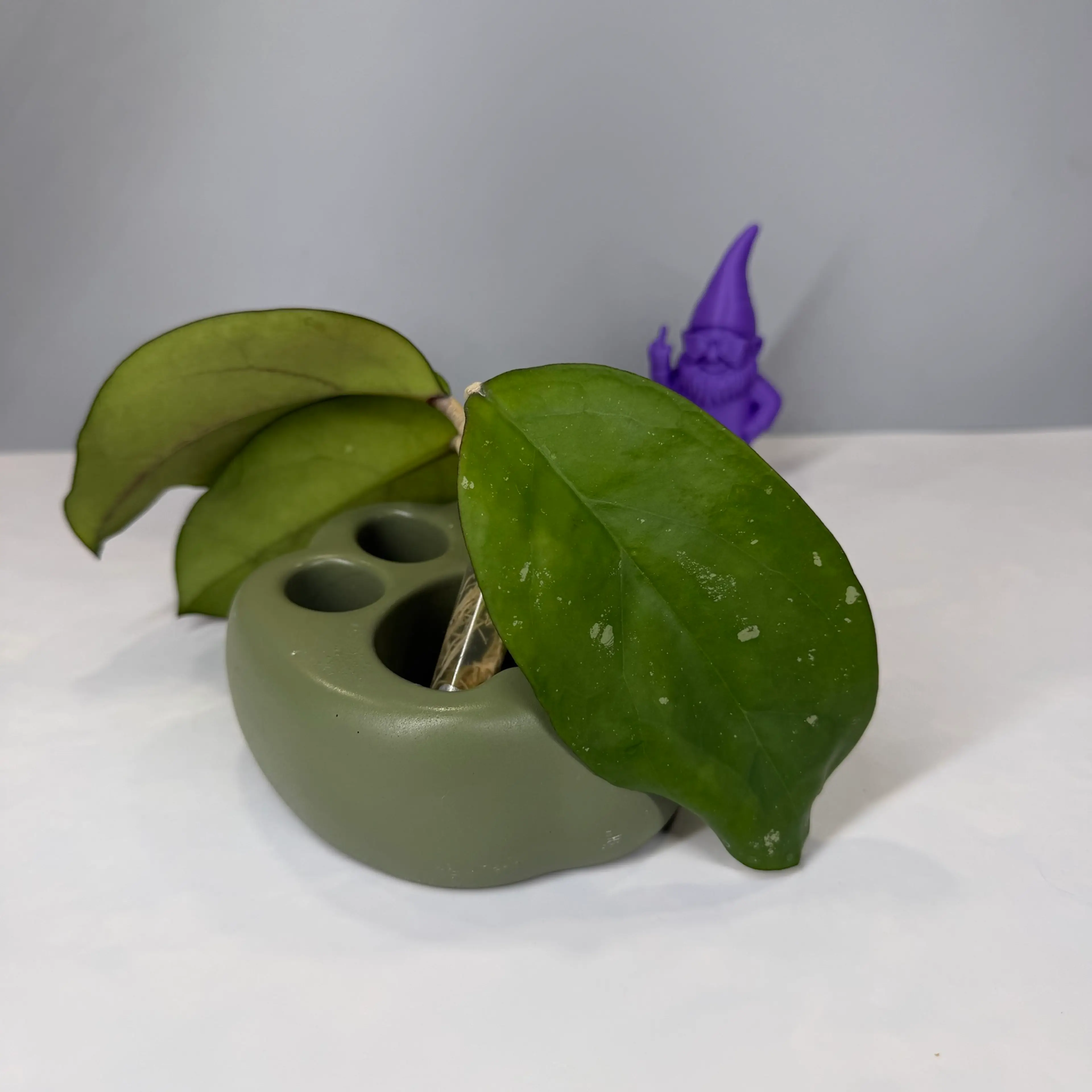 Image 2 of 3