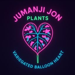 D4 Alocasia Pink Balloon 🎈 Heart TC