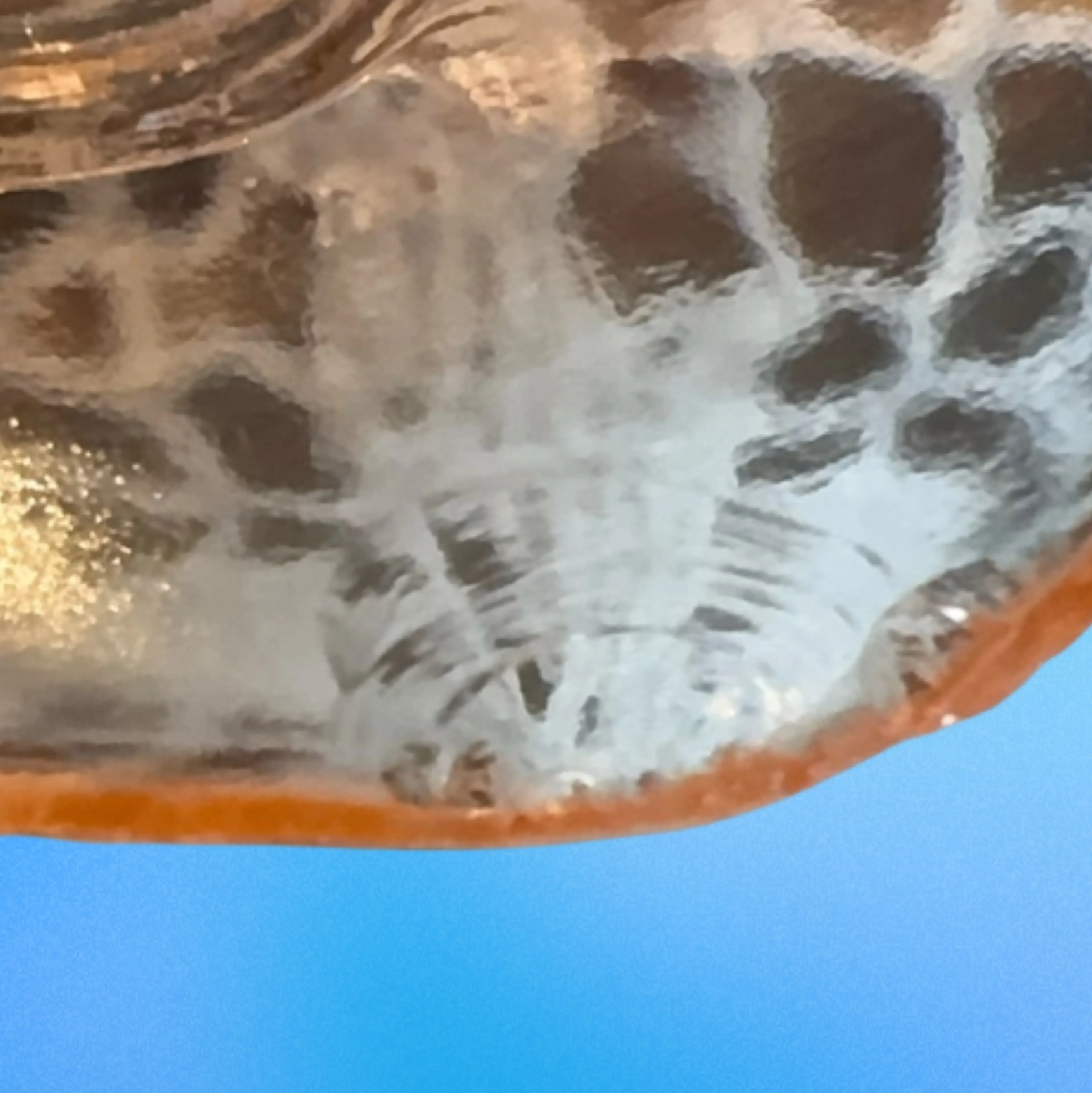 Image 5 of 6