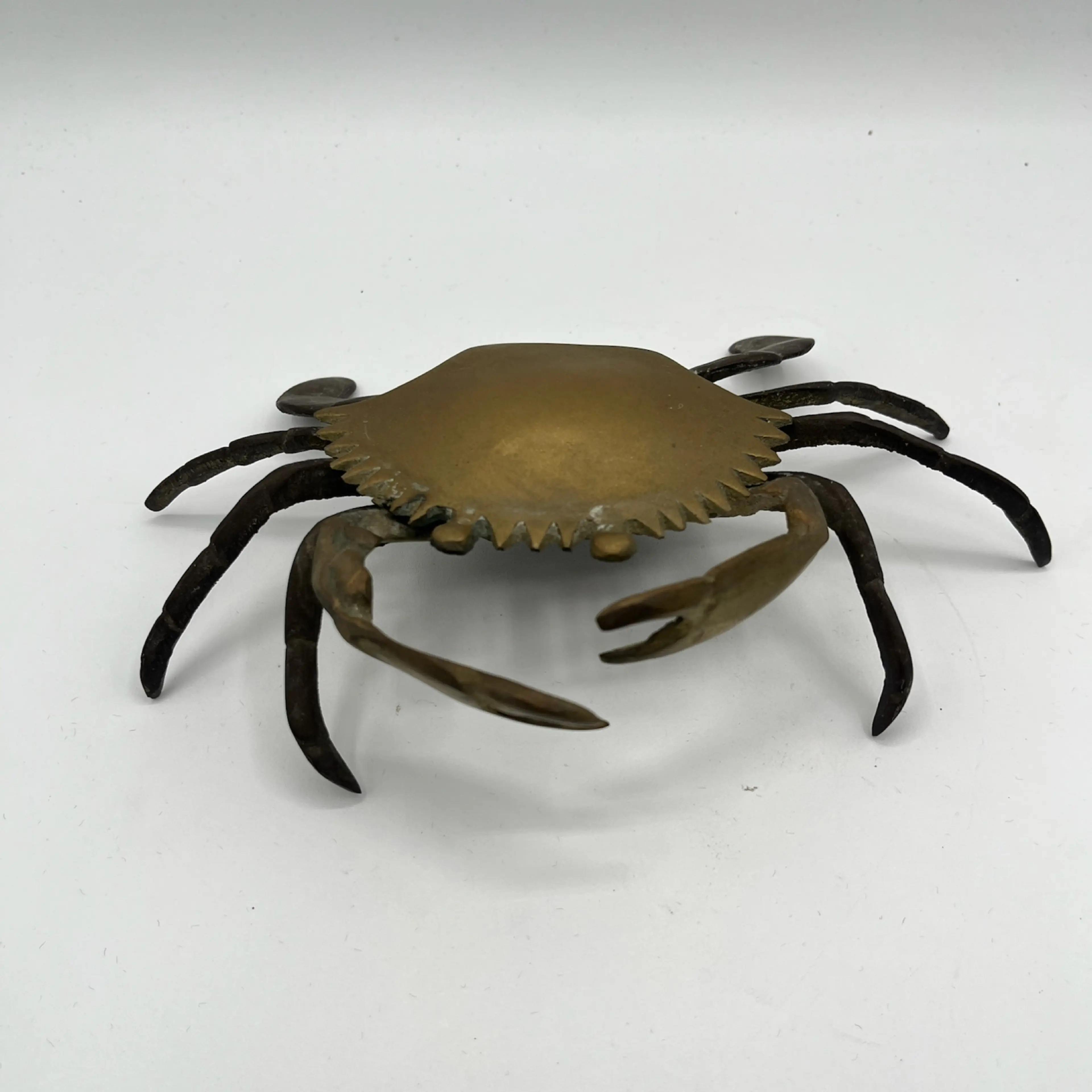 Image 2 of 11