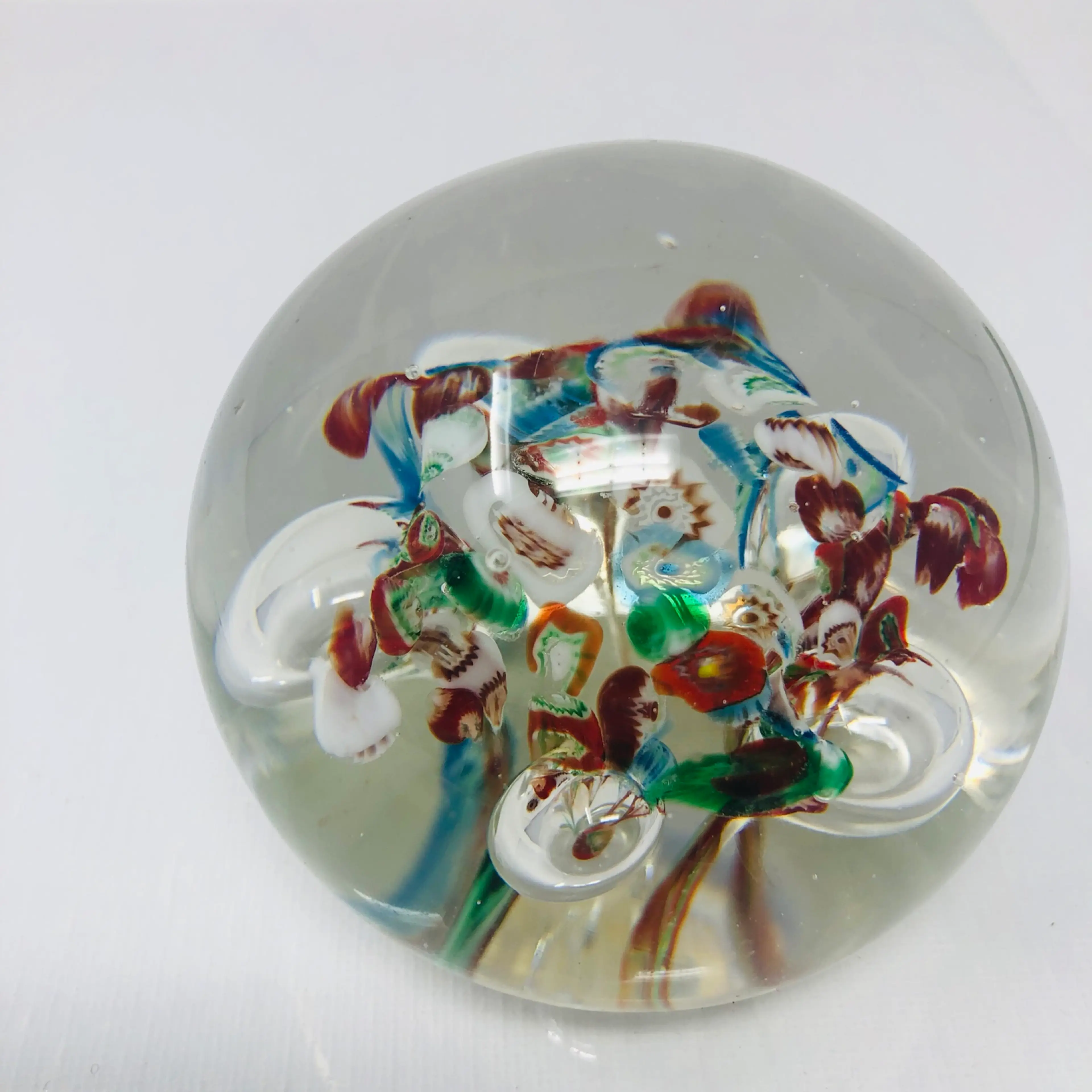 Image 1 of 7