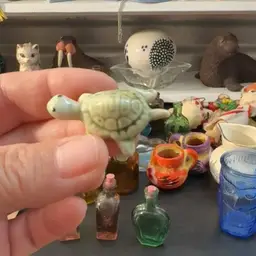 Mini Turtle