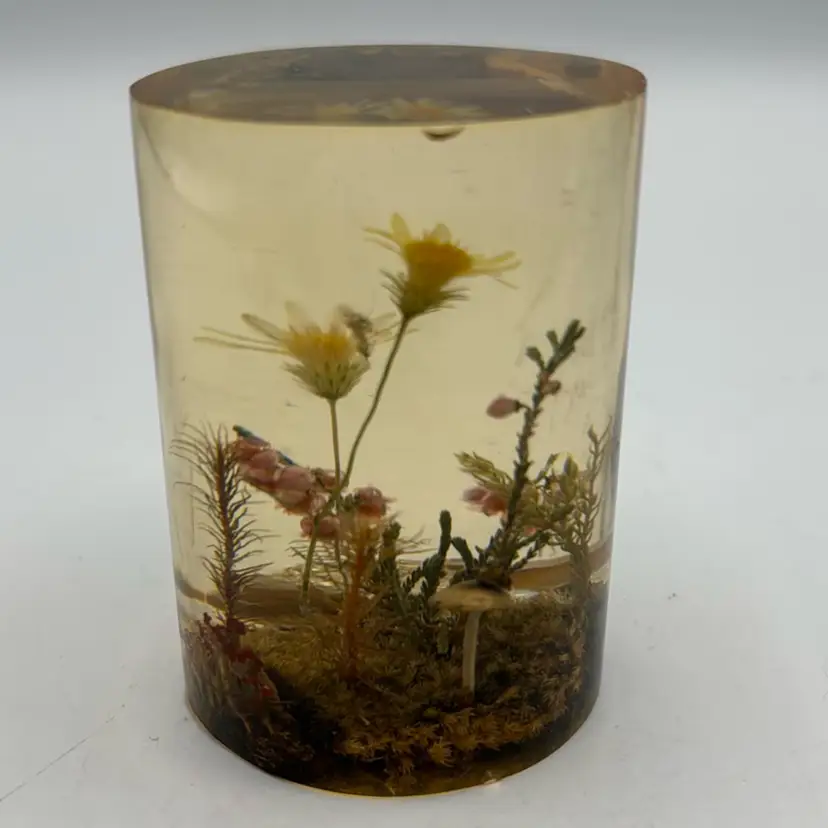 W. Rolfe Terrarium Flower Mushroom Ladybug Lucite Paperweight