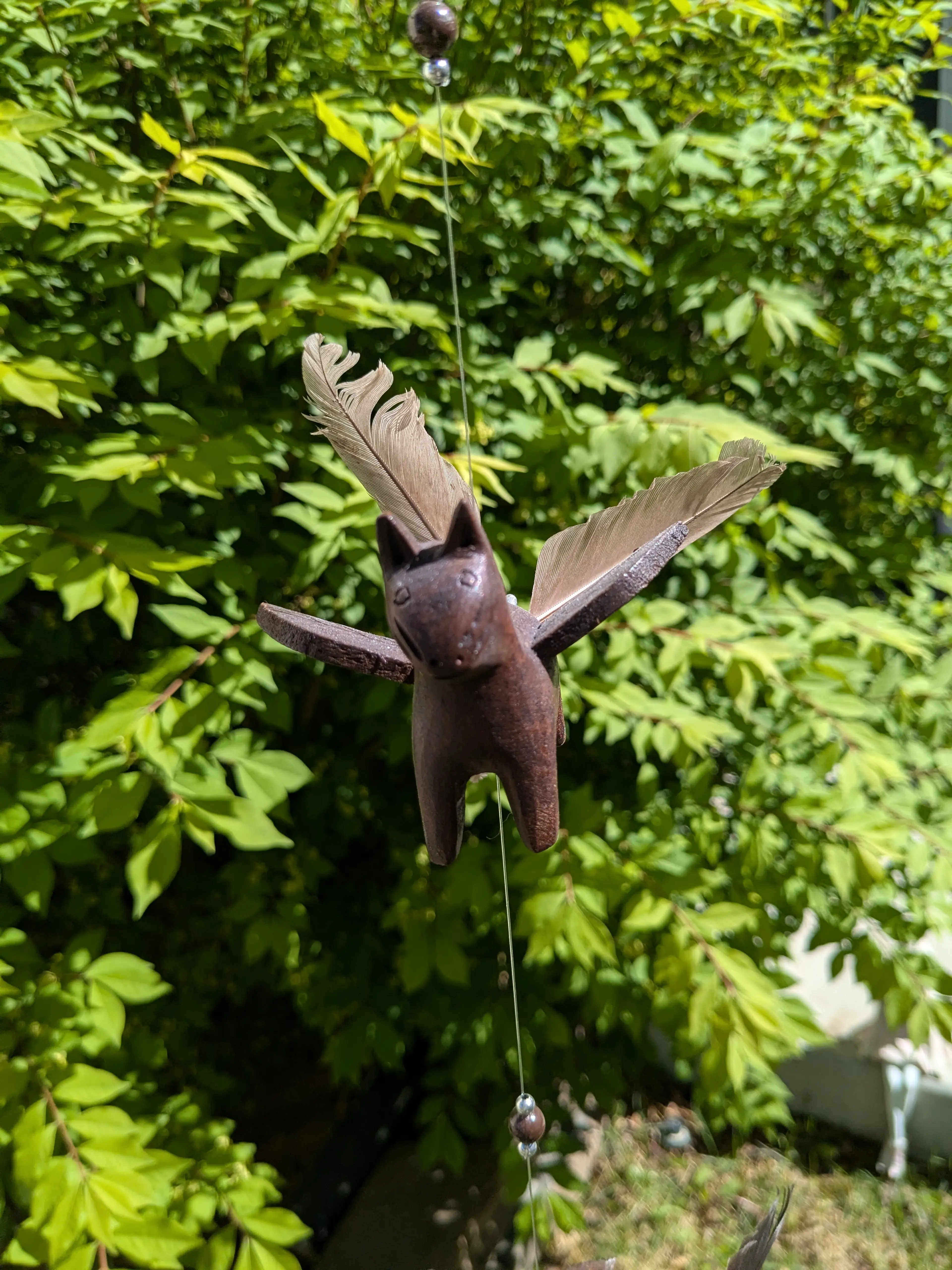 Image 5 of 6