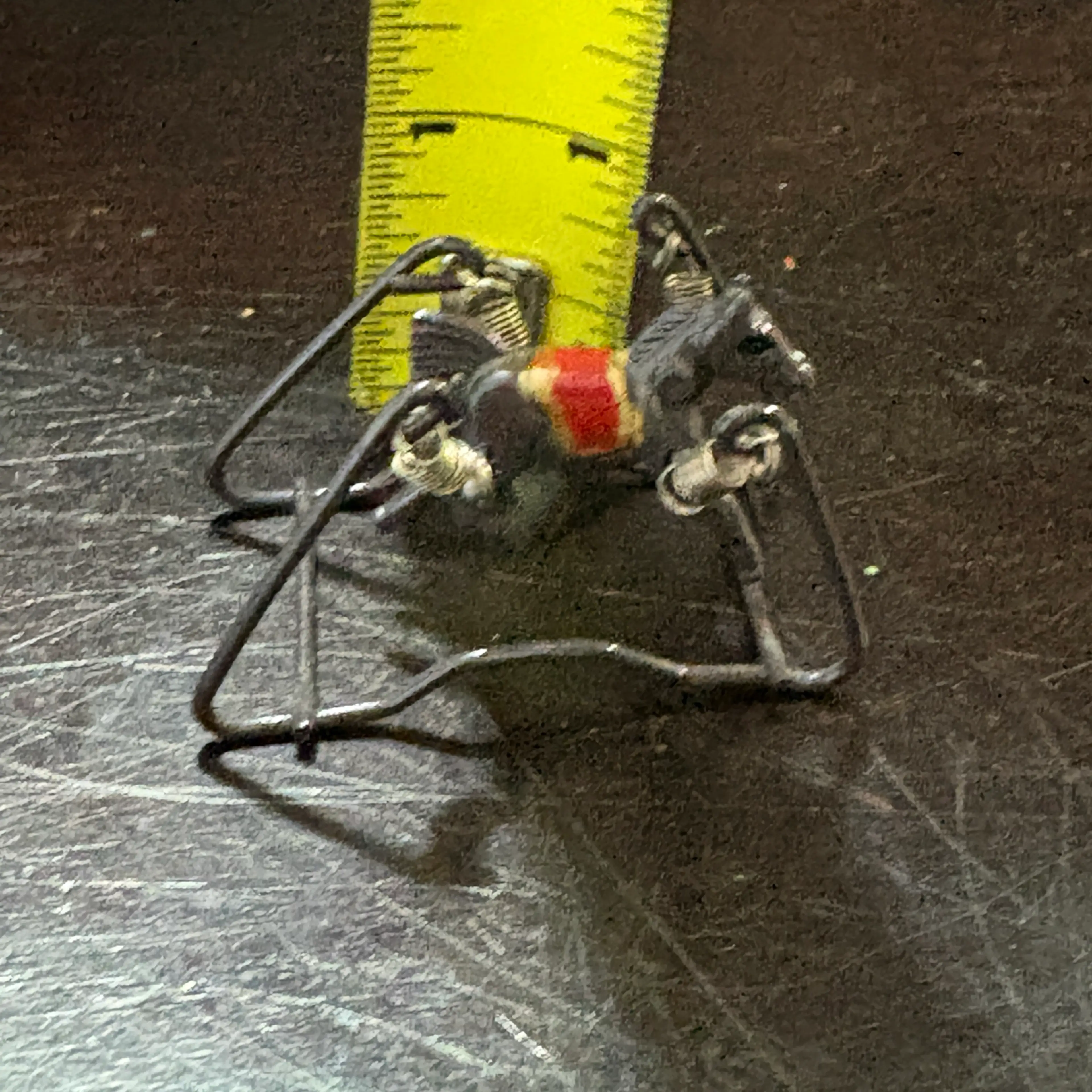 Image 3 of 3