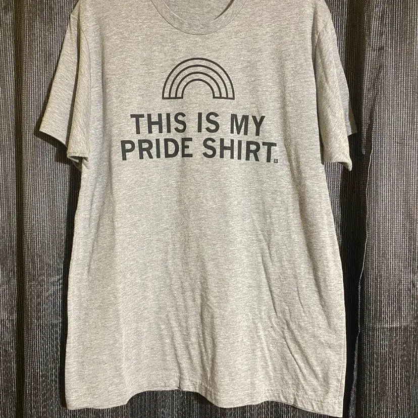 Men's Size XL Gray This Is My Pride Shirt w Rainbow Outline Short Sleeve T-Shirt