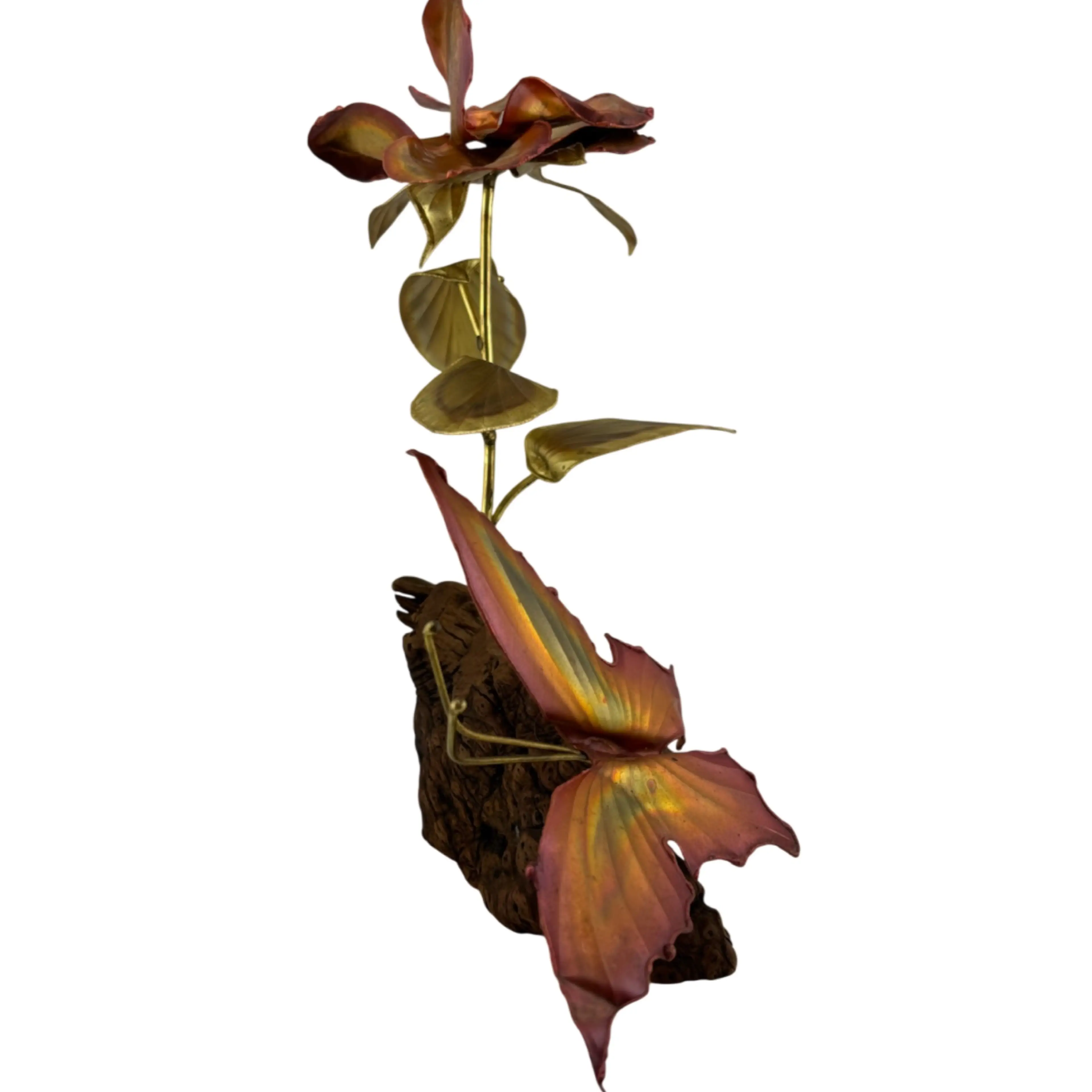 Image 4 of 5