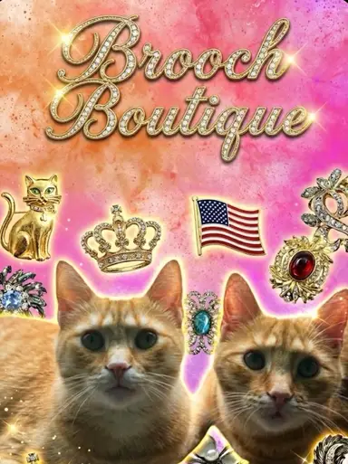 Brooch Boutique with Kiwi Bird Crafts