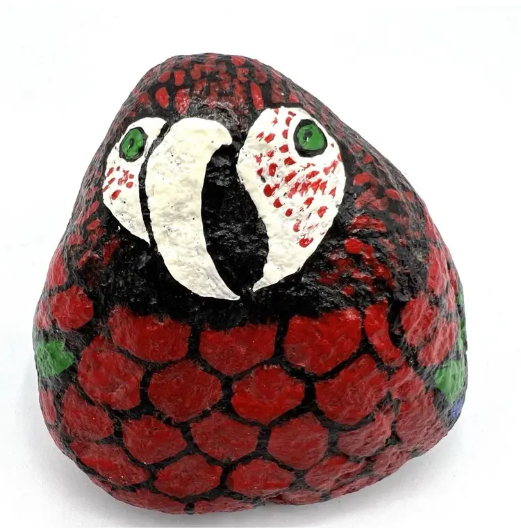 Hand Painted Parrot Rock Art Bird Paperweight Red Blue Signed Artisan 3.5"