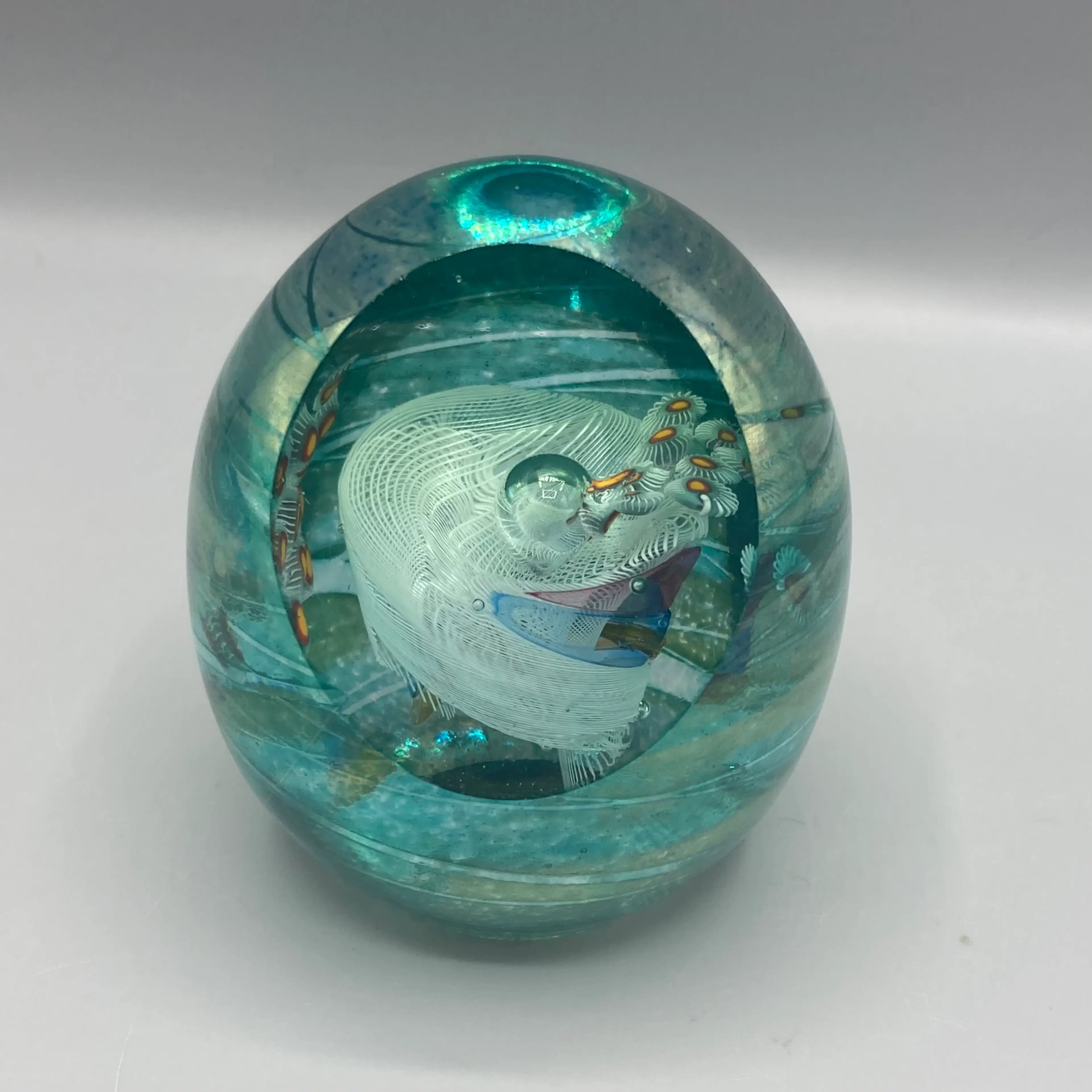 Image 1 of 13