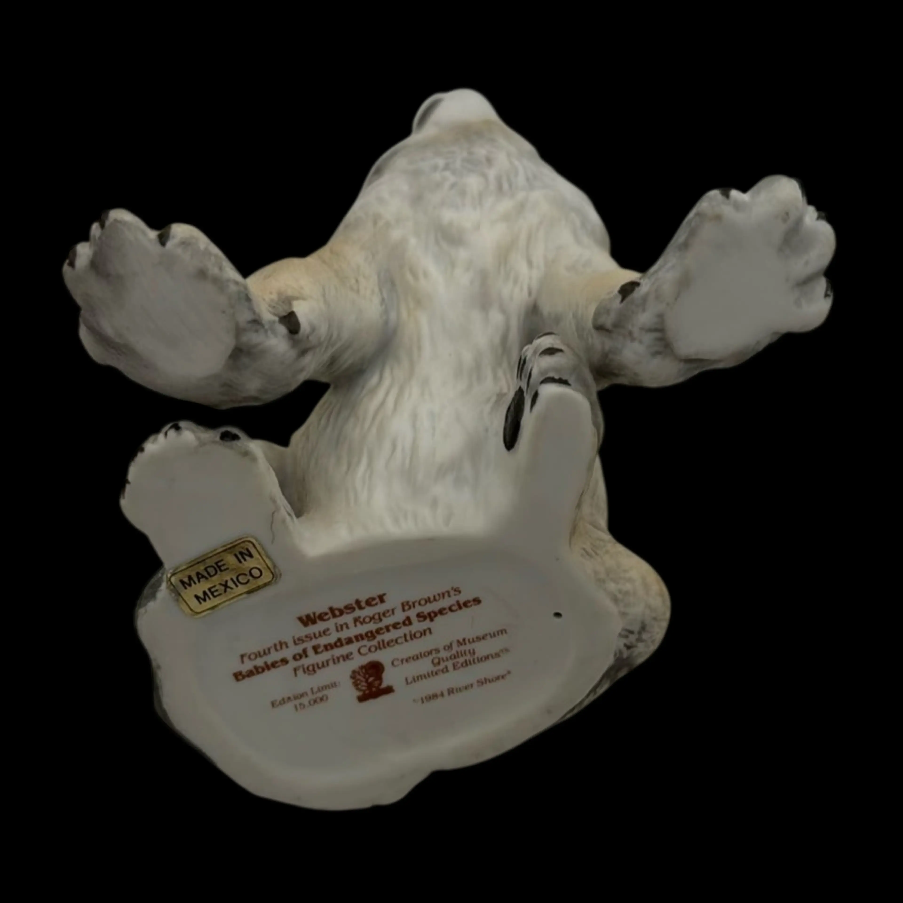 Image 5 of 5