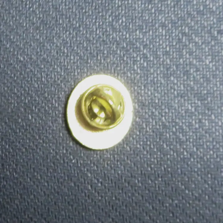 Vintage 1980 Olympic Pin Staff Members Lake Placid NY