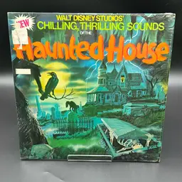 Disney Haunted House