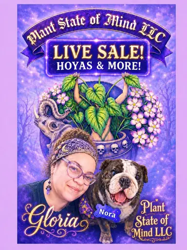 PLANTS FOR ALL!
