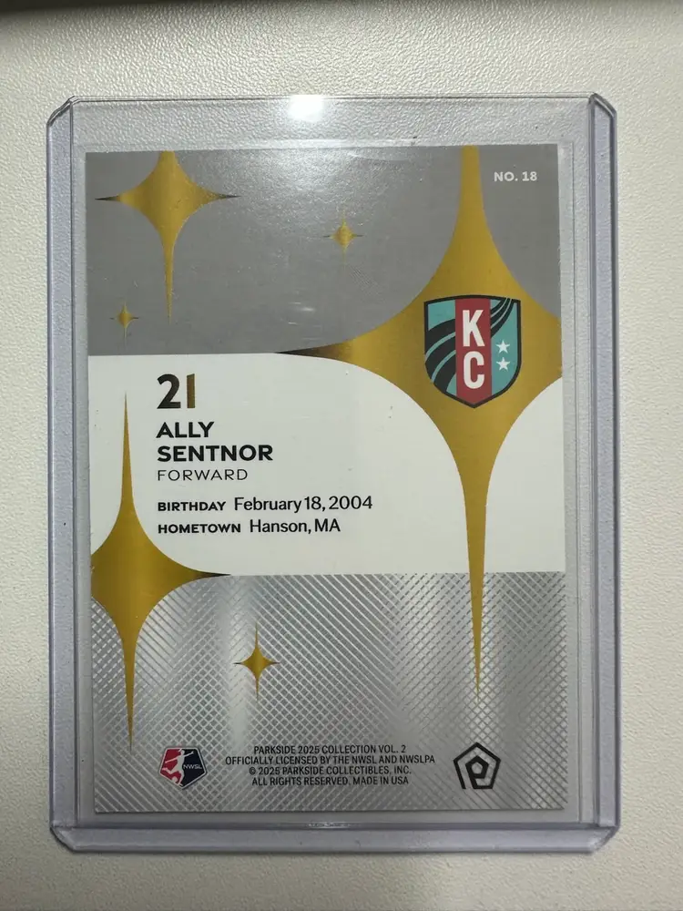 2025 Parkside Vol. 2 Ally Sentnor Stars /100