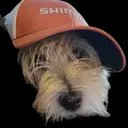 blueprintcollectibles