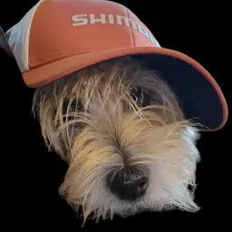 blueprintcollectibles