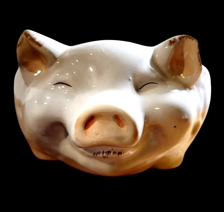 Farmyard Collection Ceramic Pig Serving Bowl or Piglet Planter for Succulents