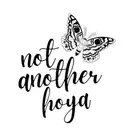 not another hoya | christen🧚🏼‍♀️