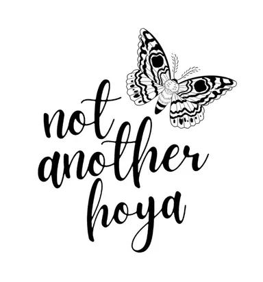 not another hoya | christen🧚🏼♀️