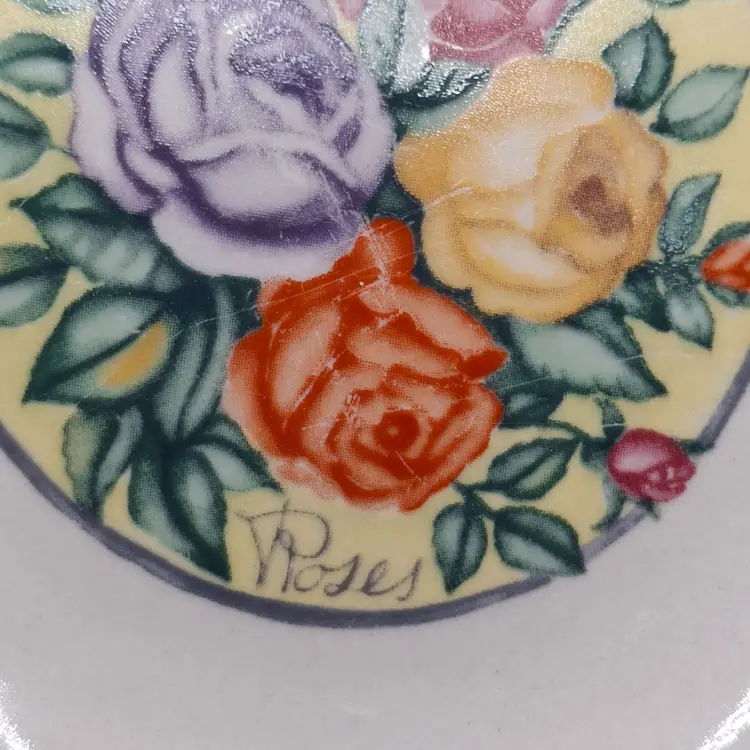 Gibson Housewares Floral Rose Pattern Ceramic Desert Plates Set Of 2