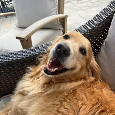 Milo’s Marketplace