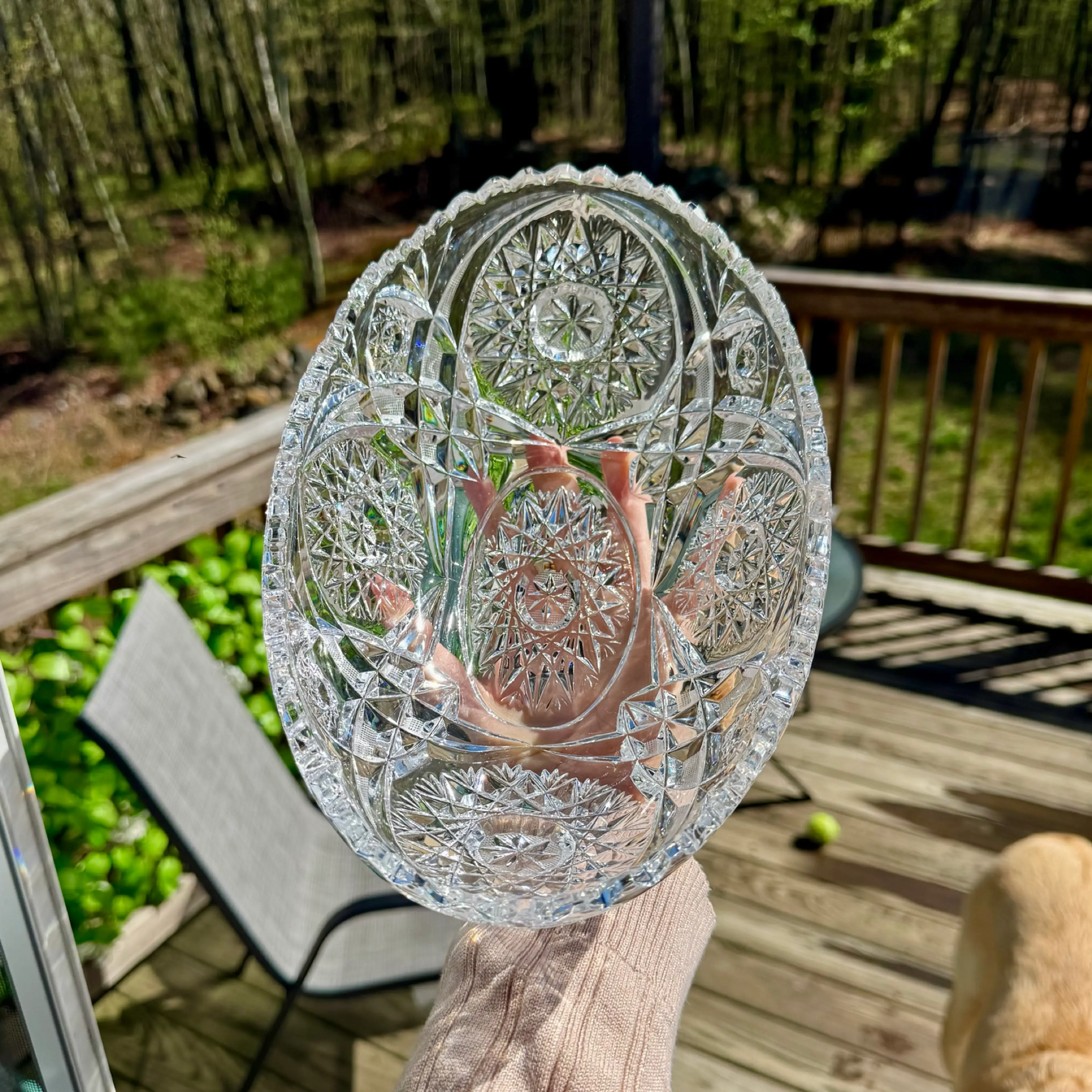 Image 4 of 7