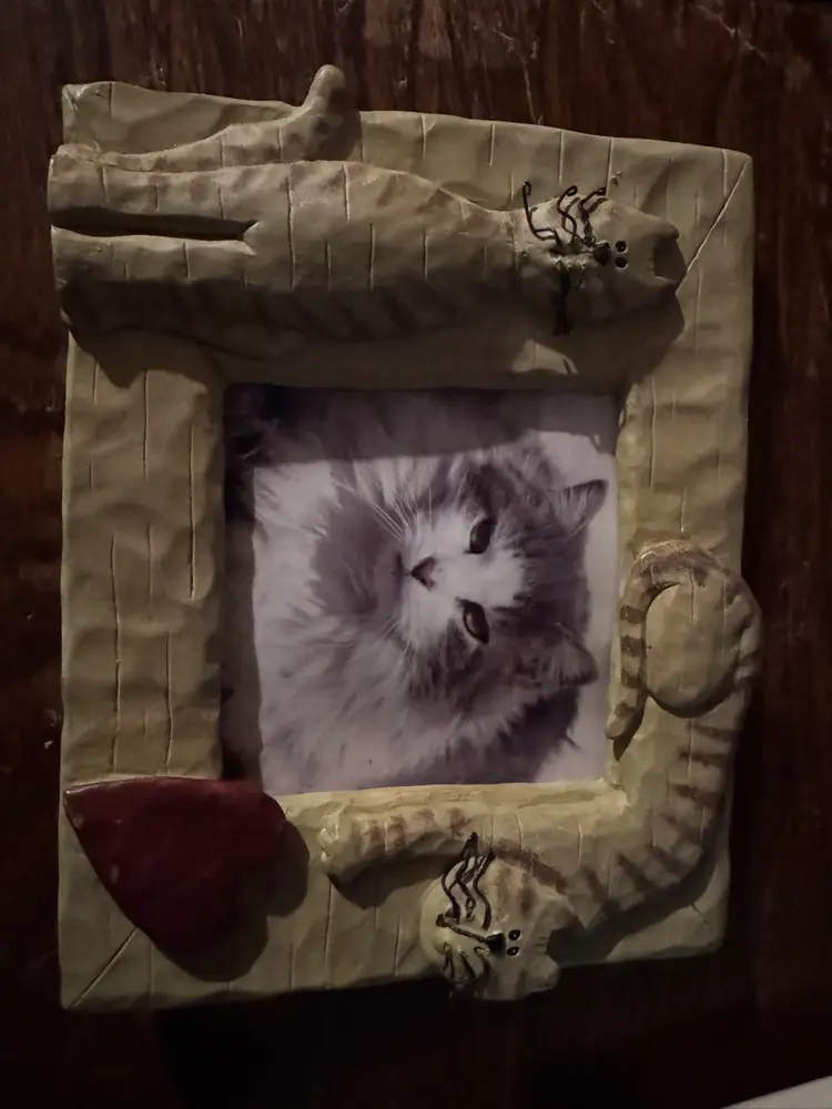 Resin Cat Photo Frame