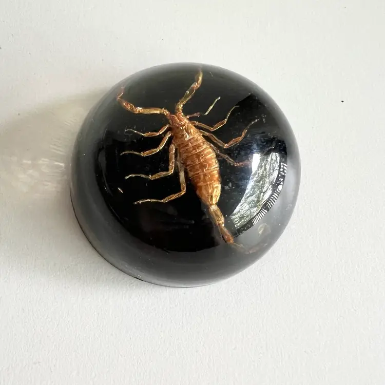 Scorpion Lucite Paperweight