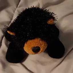 Ganz Lil Kinz Black Bear