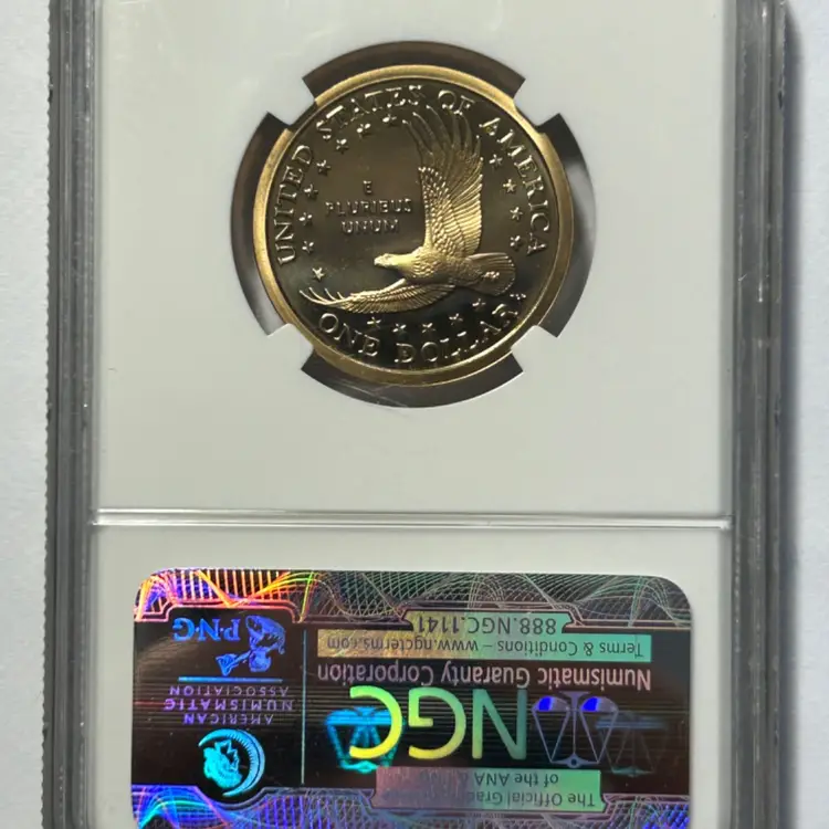 2006 S Sacagawea Dollar