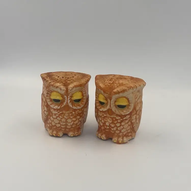 Sleepy Owl Salt And Pepper Shakers-Owls On Both Sides