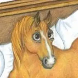 Divine Equines's avatar