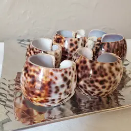 Set of 6 Cypraea Tigris, Tiger Cowrie Shell Napkin Rings