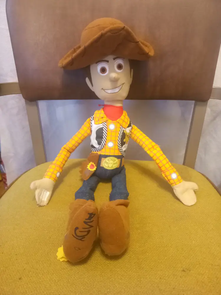 Woody form Toy Story