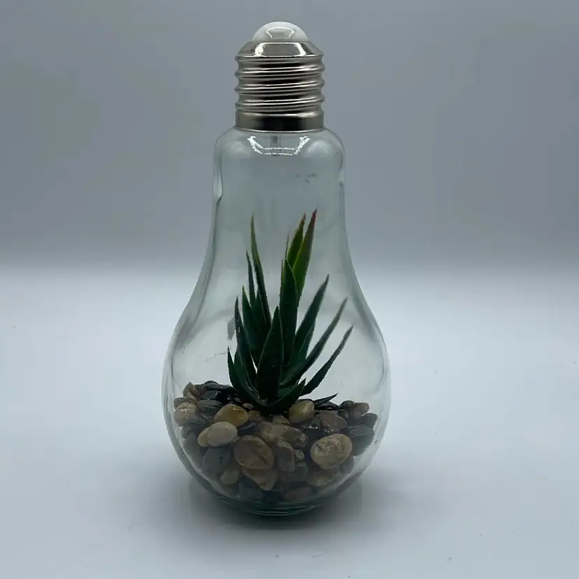 Aloe Vera Plant Glass Bulb Terrarium LED Night Light Indoor Outdr Faux Succulent 9”
