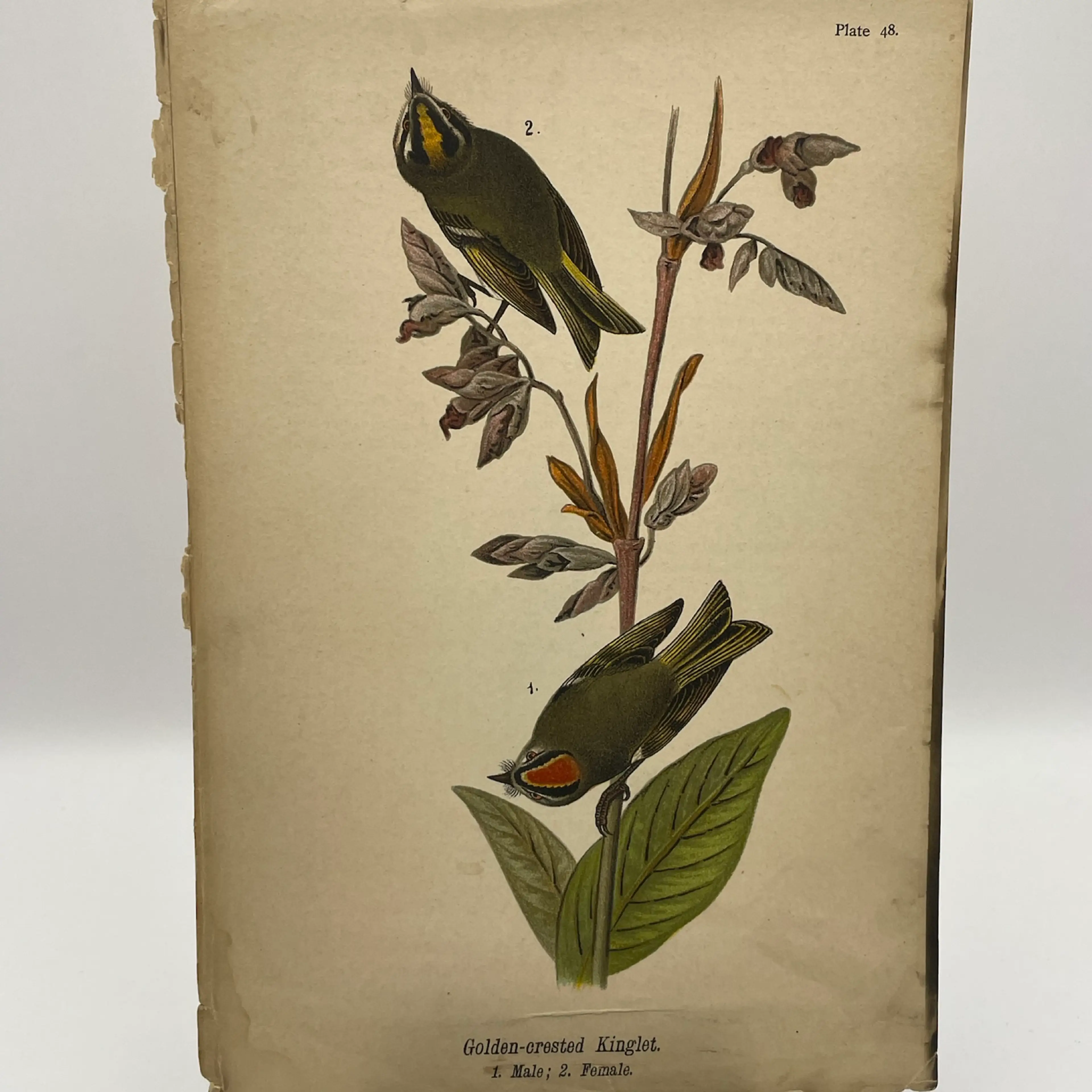 Image 2 of 10