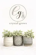 Crystal Grows