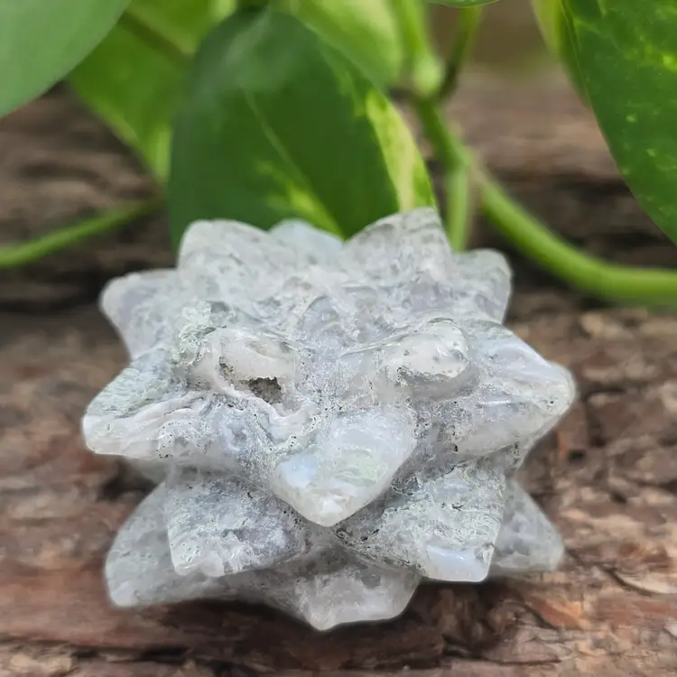 Moss Agate Succulent from India ~ Polished Crystal Plants