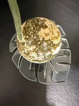 Sapele - Monstera Leaf Sphere Holder