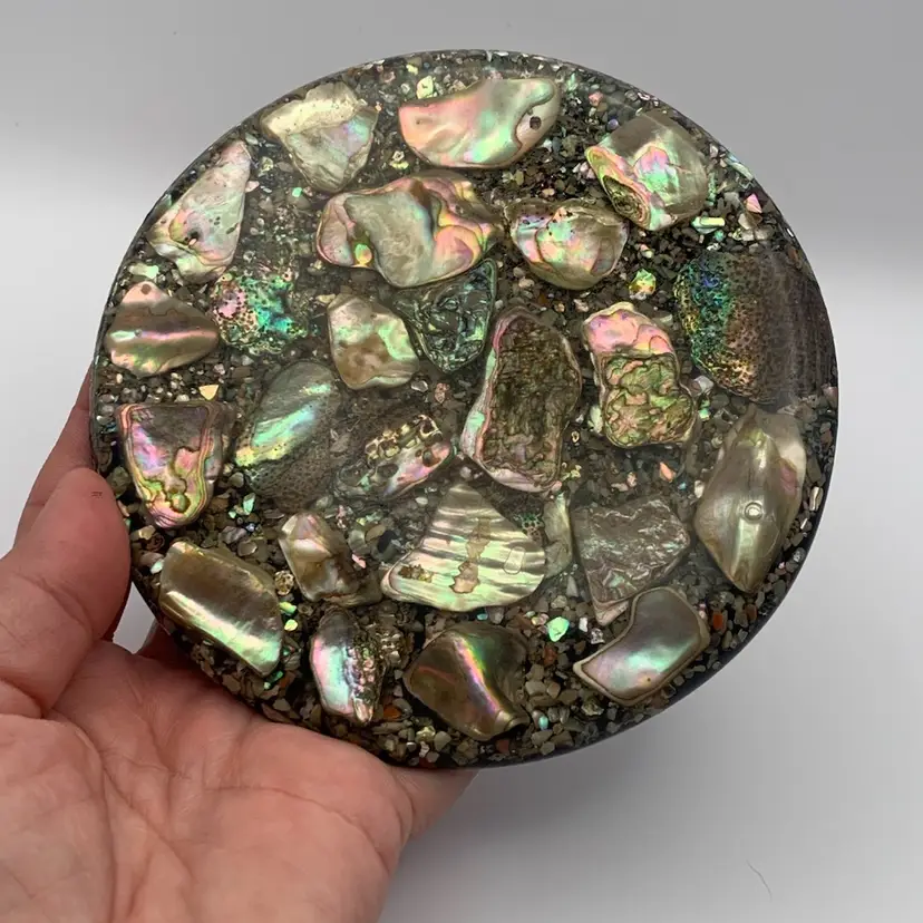 VTG Abalone Shell Lucite Trivet Hot Plate Round With Black Background